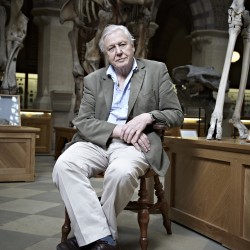 David Attenborough's Natural Curiosities, new & exclusive, on Eden from Tuesday 29th January (Sky 532 / Virgin 208/ Also available in HD)