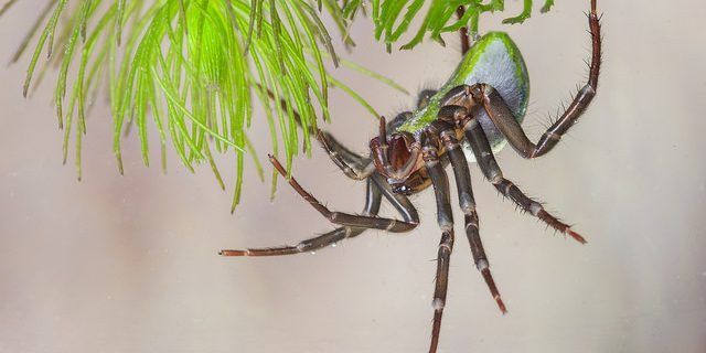 30406491770_bb42af23a4_z