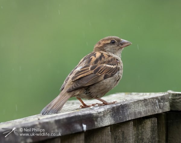 35416952290_ef45467294_z