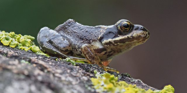 36649342712_b214cb8e29_z