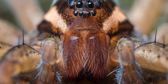 37634806142_dec246e069_z