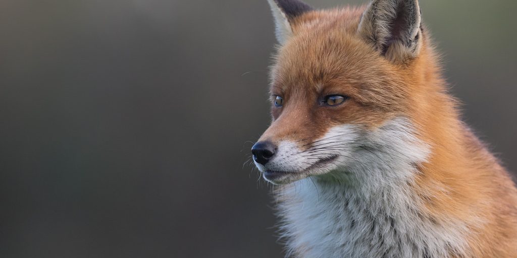 44214458022_9b8fa6a778_b (1)