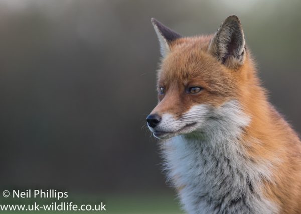 44214458022_9b8fa6a778_b (1)