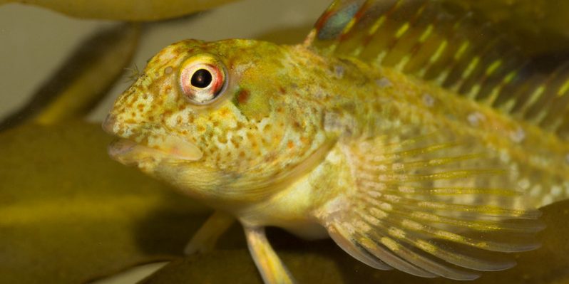 6359838133_4a9948bb5e_c