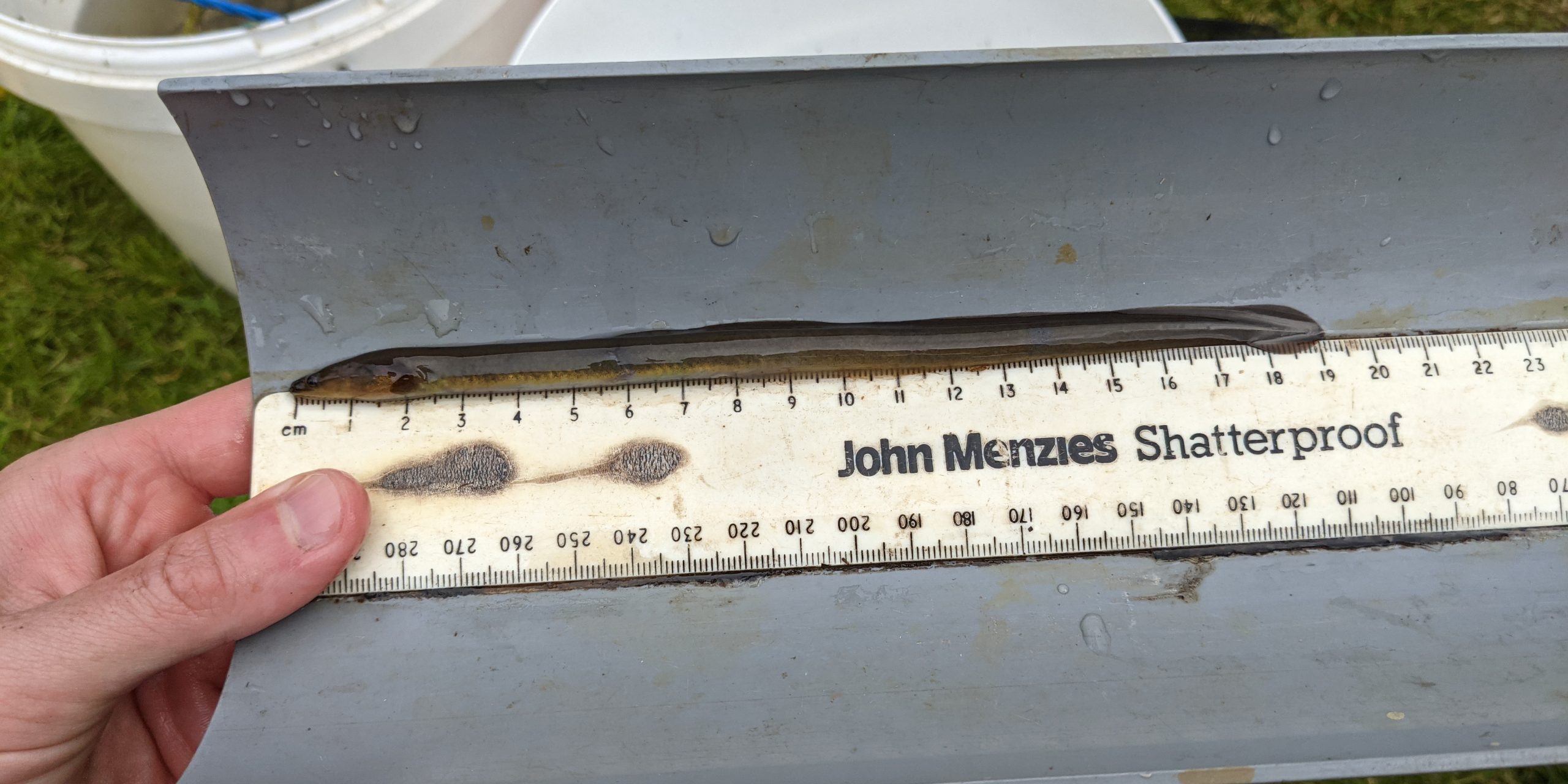 PXL_20210806_132214032