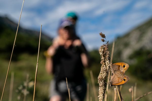 458245228_525191600002644_4992733063439037095_n